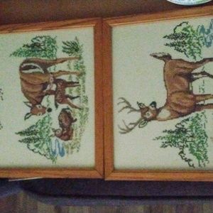 2-- 8x10 Deer pictures with Wood Frames